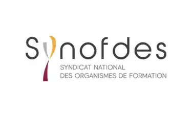 Logo Synofdes